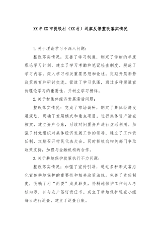 XX年XX市提级村（XX村）巡察反馈整改落实情况