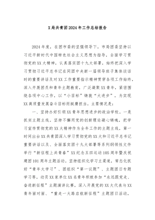 X局共青团2024年工作总结报告
