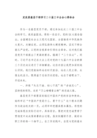 发改委基层干部学习二十届三中全会心得体会