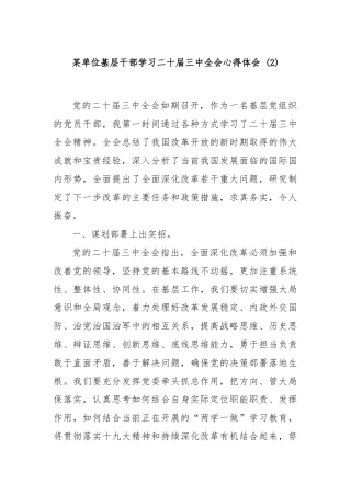某单位基层干部学习二十届三中全会心得体会 (2)
