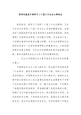 某单位基层干部学习二十届三中全会心得体会（1）