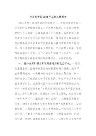 市局共青团2024年工作总结报告