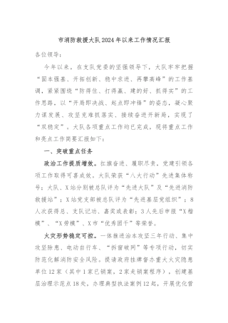 市消防救援大队2024年以来工作情况汇报