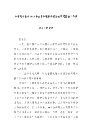 分管副市长在2024年全市加强社会面治安巡逻防控工作推进会上的讲话