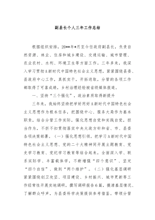 副县长个人三年工作总结