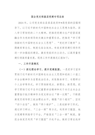 国企党支部基层党建专项总结