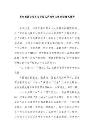 国有能源企业落实全面从严治党主体责任情况报告