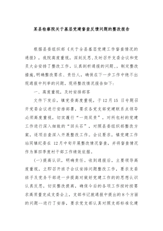 某县检察院关于基层党建督查反馈问题的整改报告