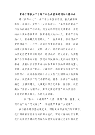 青年干部参加二十届三中全会宣讲培训后心得体会