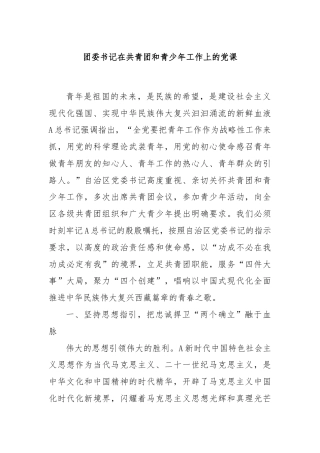 团委书记在共青团和青少年工作上的党课