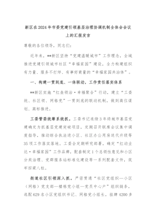 新区在2024年市委党建引领基层治理协调机制全体会会议上的汇报发言
