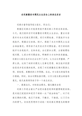 在巡察整改专题民主生活会上的表态发言