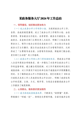某政务服务大厅2024年工作总结