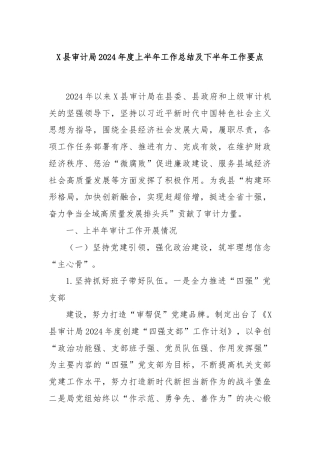 X县审计局2024年度上半年工作总结及下半年工作要点