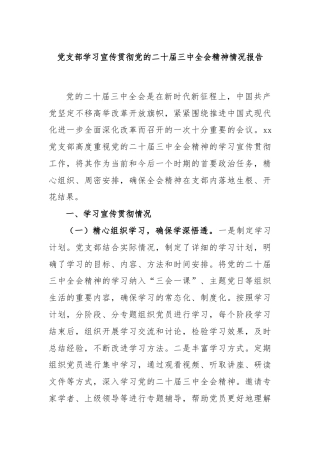 党支部学习宣传贯彻党的二十届三中全会精神情况报告