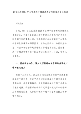 副书记在2024年全市年轻干部培养选拔工作推进会上的讲话