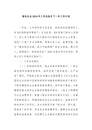 国有企业2024年工作总结及下一年工作计划
