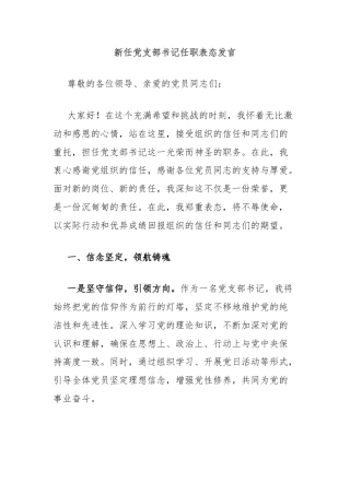 新任党支部书记任职表态发言