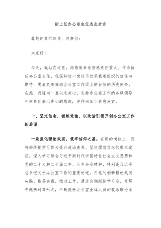 新上任办公室主任表态发言