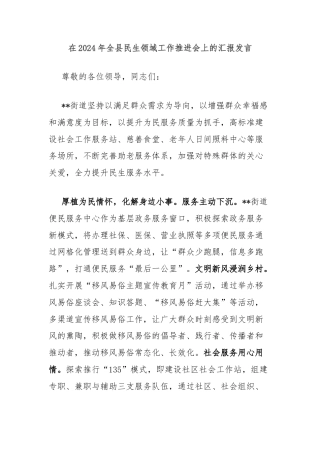 在2024年全县民生领域工作推进会上的汇报发言