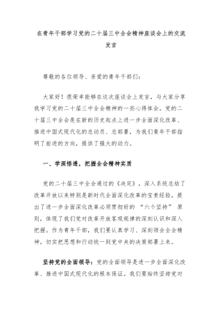 在青年干部学习党的二十届三中全会精神座谈会上的交流发言