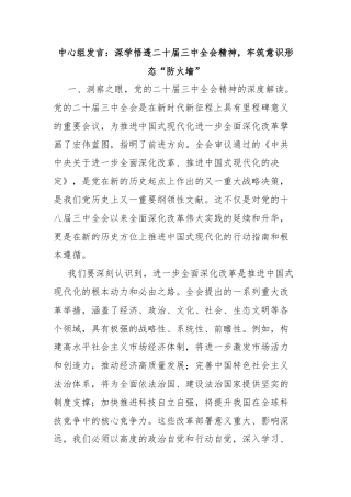 中心组发言：深学悟透二十届三中全会精神，牢筑意识形态“防火墙”