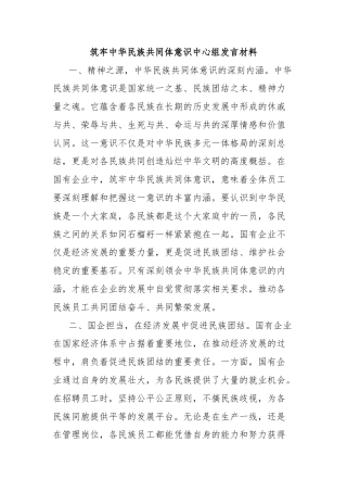筑牢中华民族共同体意识中心组发言材料