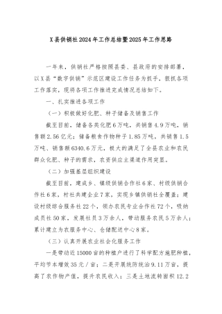 X县供销社2024年工作总结暨2025年工作思路