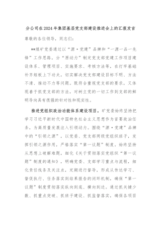 分公司在2024年集团基层党支部建设推进会上的汇报发言