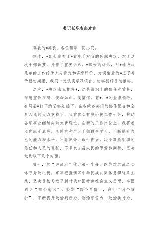 书记任职表态发言