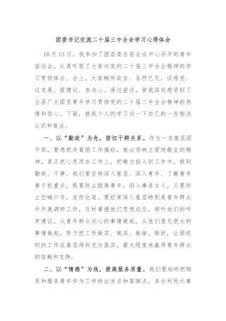 团委书记交流二十届三中全会学习心得体会