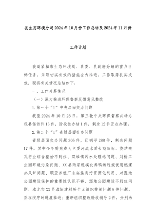县生态环境分局2024年10月份工作总结及2024年11月份工作计划