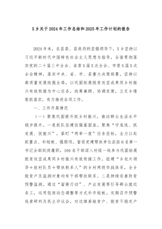 X乡关于2024年工作总结和2025年工作计划的报告