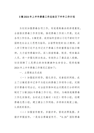 X镇2024年上半年禁毒工作总结及下半年工作计划