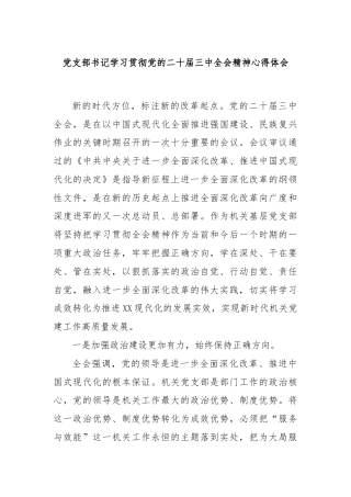 党支部书记学习贯彻党的二十届三中全会精神心得体会