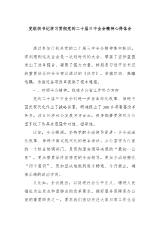 党组织书记学习贯彻党的二十届三中全会精神心得体会