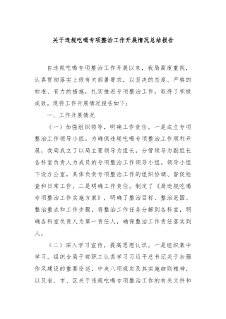 关于违规吃喝专项整治工作开展情况总结报告