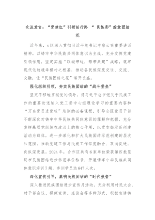 交流发言：“党建红”引领前行路 “ 民族彩”绽放团结花