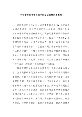 年轻干部要善于用改革的办法破解改革难题