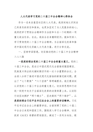 人大代表学习党的二十届三中全会精神心得体会