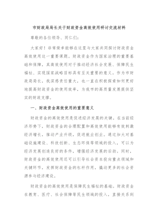 市财政局局长关于财政资金高效使用研讨交流材料