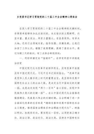 乡党委书记学习贯彻党的二十届三中全会精神心得体会