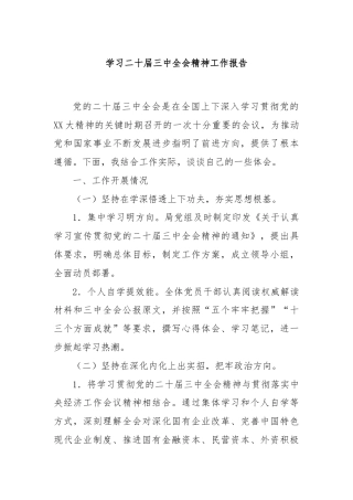 学习二十届三中全会精神工作报告
