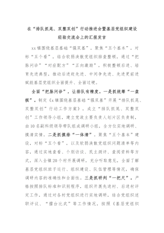 在“排队抓尾、双整双创”行动推进会暨基层党组织建设经验交流会上的汇报发言