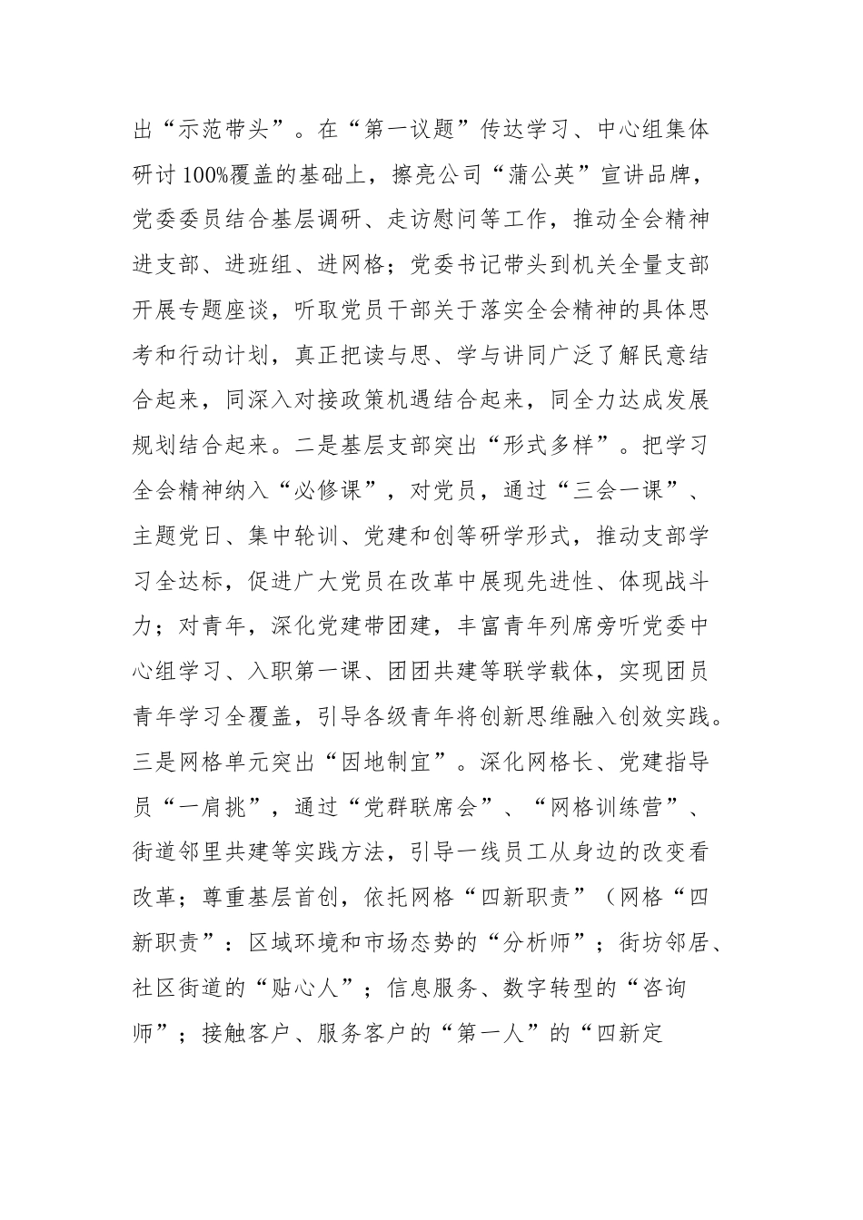 在2024年学习贯彻党的二十届三中全会精神座谈会上的汇报发言_第3页