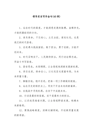 (45例)领导发言写作金句