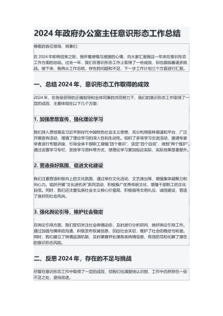 2024年政府办公室主任意识形态工作总结