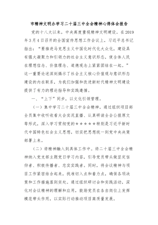 市精神文明办学习二十届三中全会精神心得体会报告