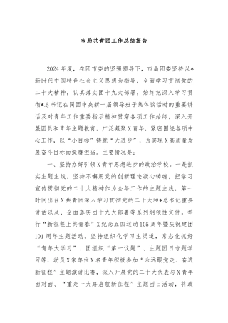市局共青团工作总结报告