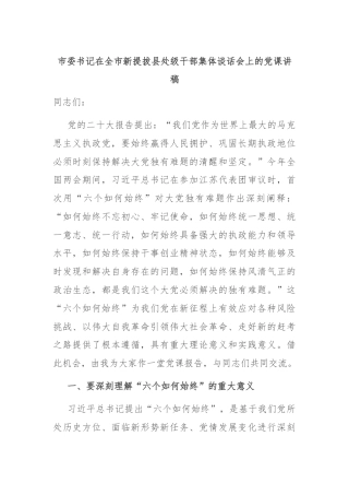 市委书记在全市新提拔县处级干部集体谈话会上的党课讲稿